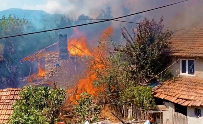 Ev ve ahırın kül olduğu yangında 22 küçükbaş hayvan telef oldu