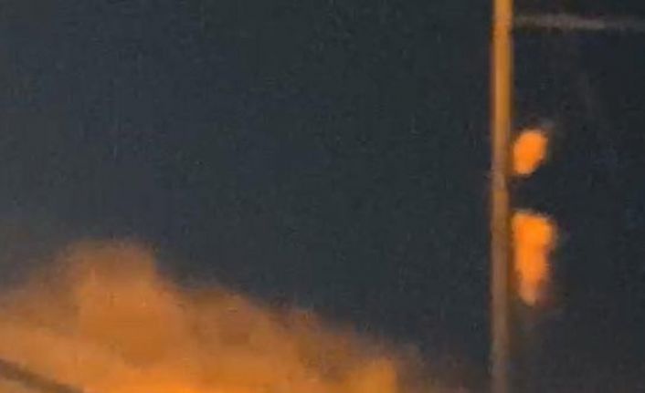 Giresun’un Çamoluk ilçe merkezinde aç kalan ayı ilçe merkezine indi