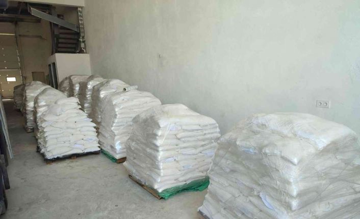 Gölcük Belediyesi’nin yetiştirdiği buğdaylar, ihtiyaç sahipleri için yaklaşık 10 ton una dönüştü