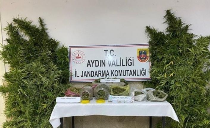 İsabeyli’de, 2 bin 520 gram uyuşturucu ve 51 kök hint keneviri ele geçirildi