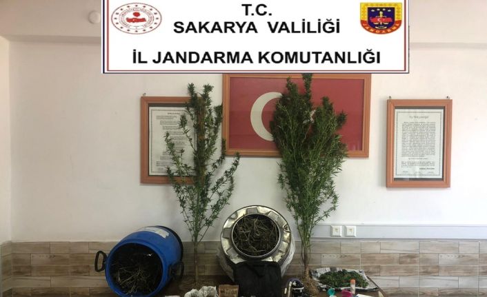 Jandarmadan uyuşturucu operasyonu: 1 gözaltı