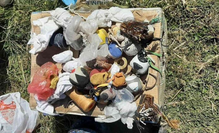 Kars’ta kaçak şahin avı yapan 2 kişi yakalandı