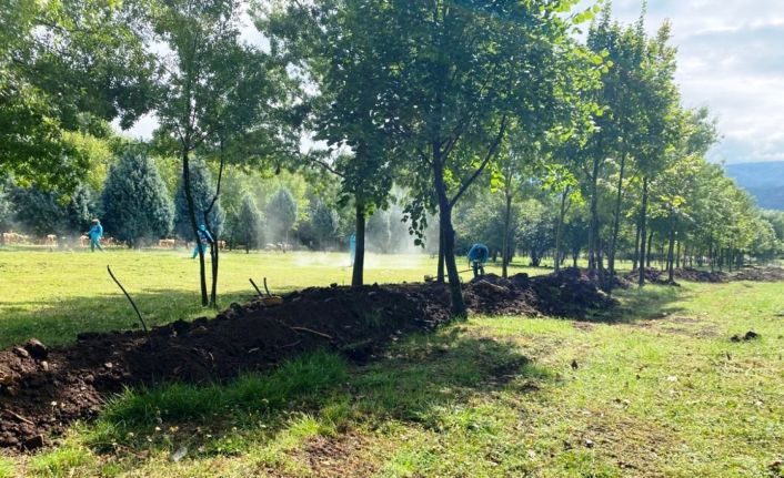 Kartepe Ataşehir’e mesire alanı