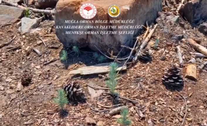 Kavaklıdere’de yanan alanlarda çalışmalar sürüyor