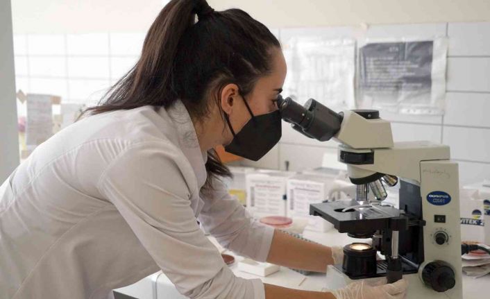 Korona virüsle ilgili çarpıcı araştırma: ’Sigara içenler daha korumasız’