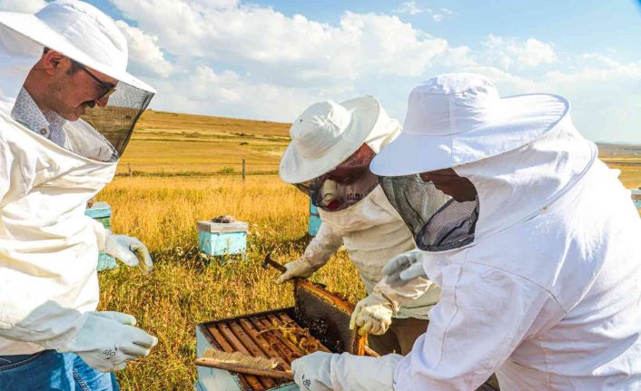 Köy hayatını seçti, amacı bal üretiminde markalaşmak