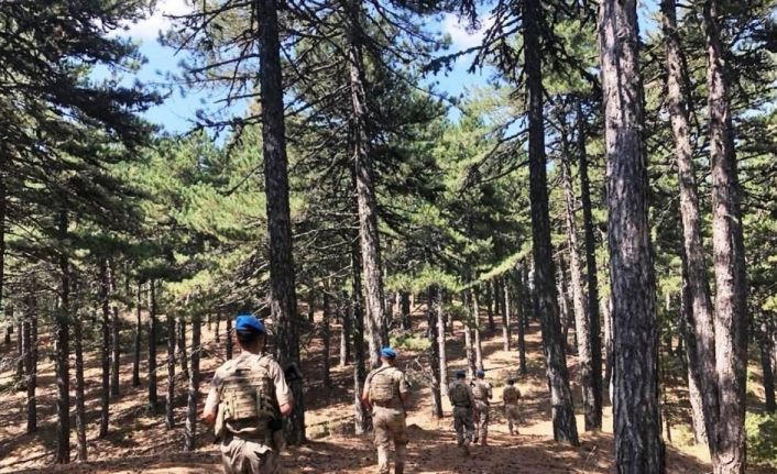 Kütahya ve ilçelerinde orman yangınları ile mücadele tedbirleri