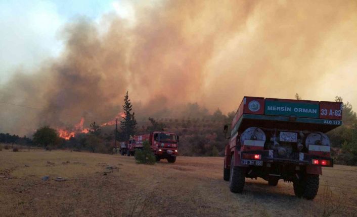 Mersin’deki orman yangınına 3 uçak, 2 helikopterle müdahale ediliyor