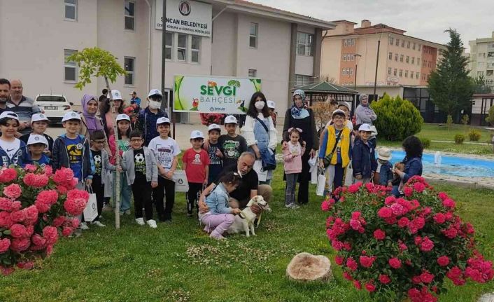 Minik dostlara sevginin yolu bu bahçeden geçiyor