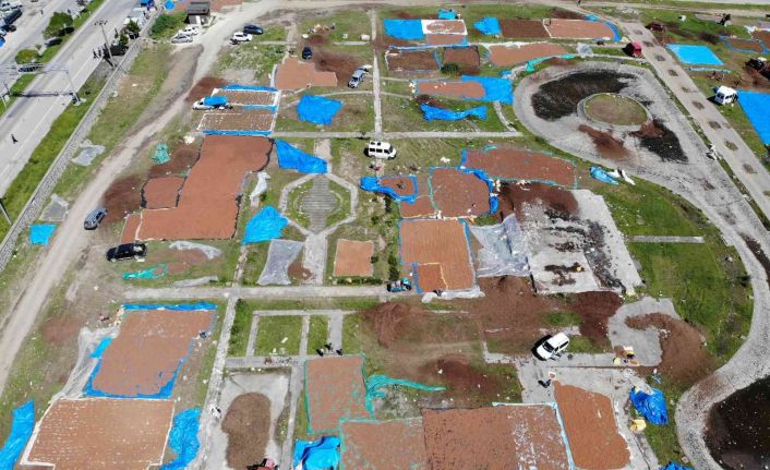 Ordu fındık harmanı gibi