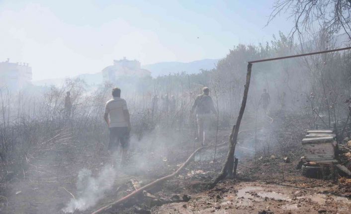 Otluk alanda çıkan yangın portakal ağaçları ve arı kovanlarını yaktı