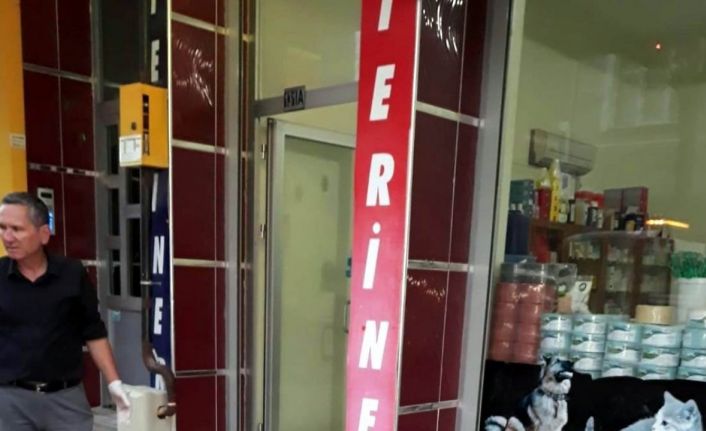 Otomobil sürücüsü çarptığı köpeği veterinere götürüp tedavi ettirdi