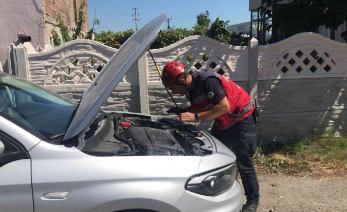 Otomobilin motor kısmına giren afacan kediyi itfaiye kurtardı