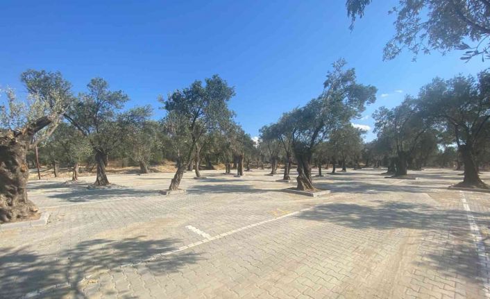 Pelitköy’e yeni pazar yeri kuruldu