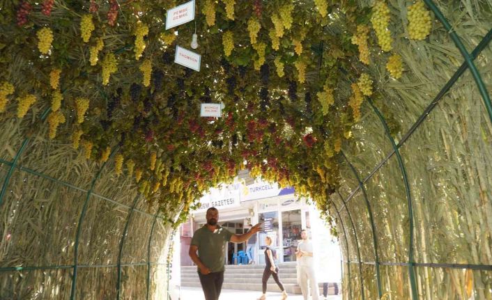 Sarıgöl’deki ’Üzüm Tüneli’ ilgi odağı oldu