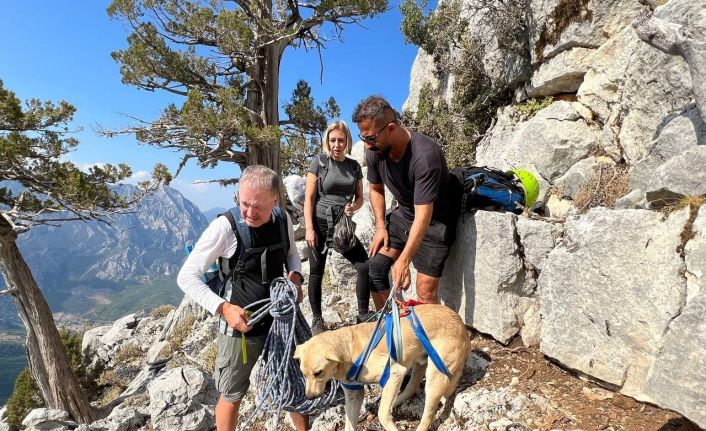 Sokak köpeğinin simit ve yumurta vefası dağcıları hem şaşırttı hem duygulandırdı