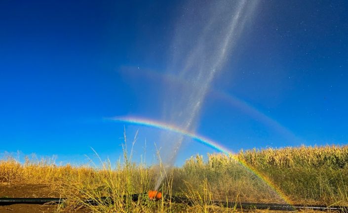 Tarım sulama borusu patladı, oluşan gökkuşağı görsel şölen oluşturdu