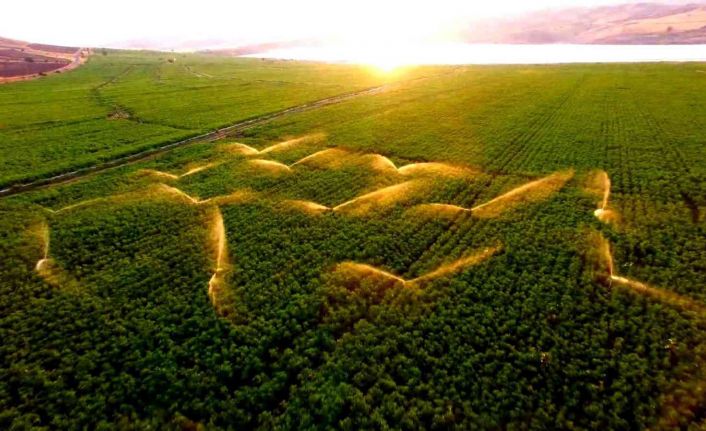 Tarladaki sulama gün batımı ile birleşti, ortaya güzel görüntüler çıktı