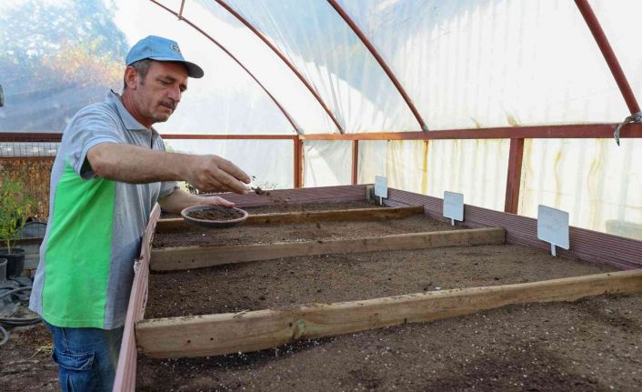 Tohumlar fidana, fidanlar yeşil Buca’ya dönüşüyor