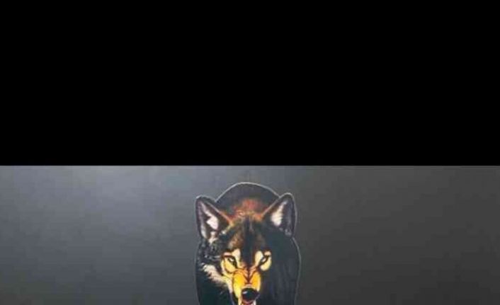 Uyuşturucu operasyonunda 2 bin 794 adet sentetik uyuşturucu hap ele geçirildi