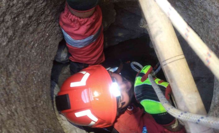 10 metrelik kuyuya düşen yavru kediyi itfaiye kurtardı