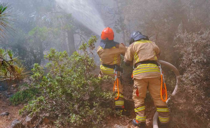 Akkuyu NGS’de acil durum birimleri için eğitim seminerleri düzenlendi