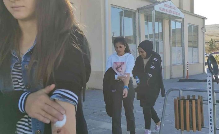 Ardahan’da gıda zehirlenmesi: 25 öğrenci hastaneye kaldırıldı