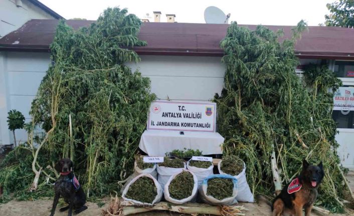 Baba-oğulun uyuşturucu üretimine jandarmadan operasyon