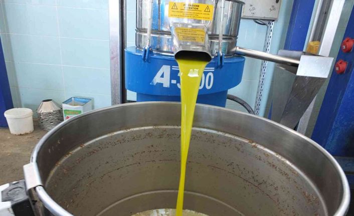 Balıkesir’de üreticiler zeytinyağı fiyatının açıklanmasını bekliyor