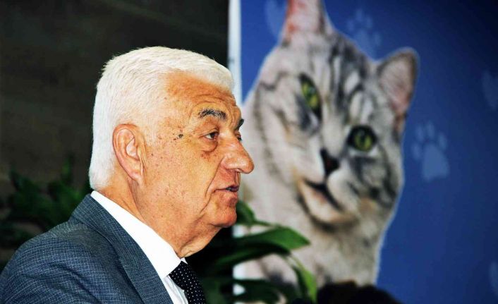 Başkan Gürün, “Sokak hayvanlarını azaltmamız lazım”