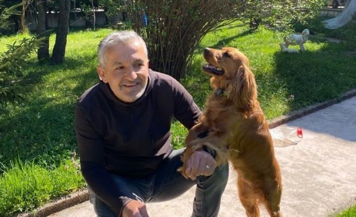 Başkan Karanfil: "Pandemide yalnızlığımızı gideren evcil hayvanlar, normalleşme sürecinde sokağa bırakıldı"