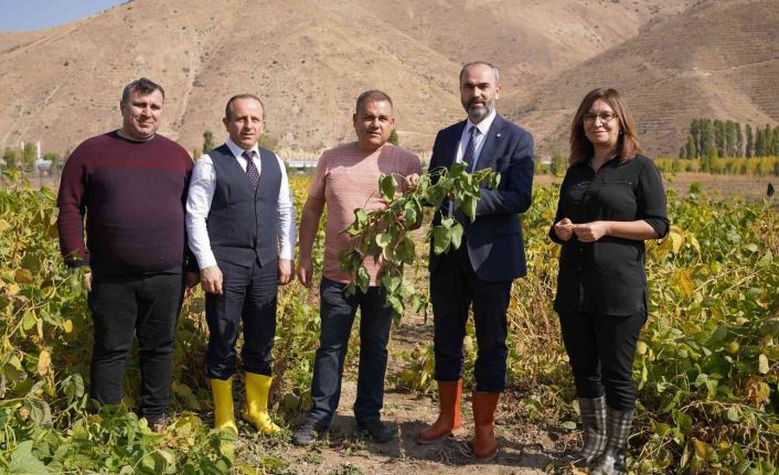 Bayburt’ta bir ilk olan soya fasulyesi ve yeni tür patateste beklenen hasat gerçekleşti