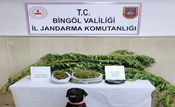 Bingöl’de iki adrese yapılan operasyonda uyuşturucu ele geçirildi