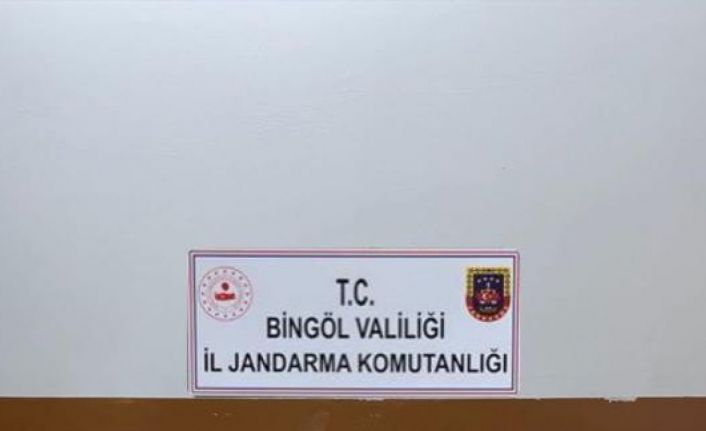 Bingöl’de narkoterör operasyonu: 32 bin kök kenevir ele geçirildi