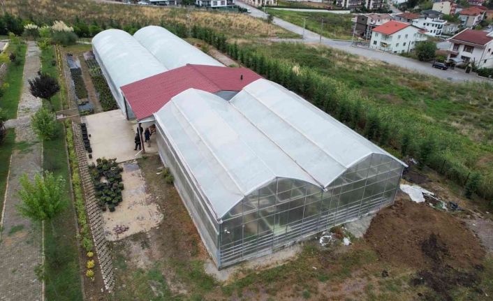 Bu lisenin süs bitkisinden kazancı dudak uçuklatıyor