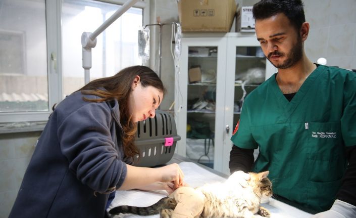 Bursa’da tedavi gören can dostlara ‘Koruyucu aileler’ aranıyor