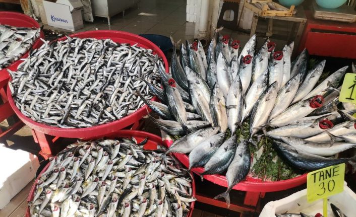 Büyük balık, yerini küçük balığa bırakıyor