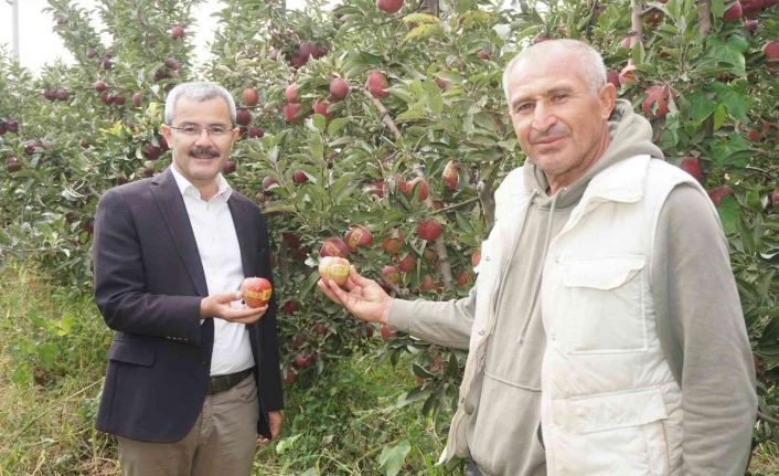 Çivril elması Cumhurbaşkanı Erdoğan’a hediye edildi