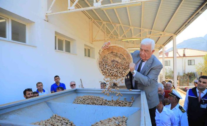 Datça Bademini ve Zeytinciliği yaygınlaştırılacak