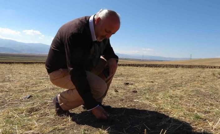 Dr. Dölek, Muş’un 2012’den 2050 yılına uzanan sıcaklık ve yağış trendlerini analiz etti