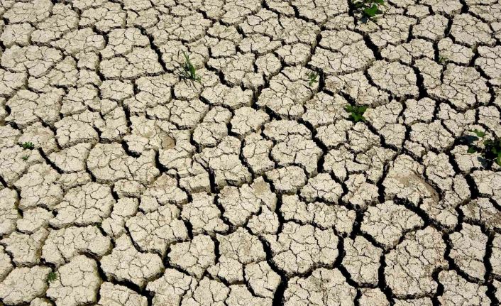Ege, son 20 yılın en kurak sezonunu yaşıyor