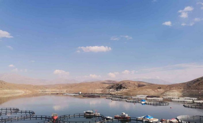 Ekinözü, kafes balıkçılığında adını duyuracak