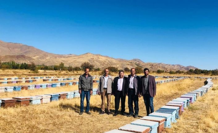 Elazığ’da arılı kovan denetimleri sürüyor