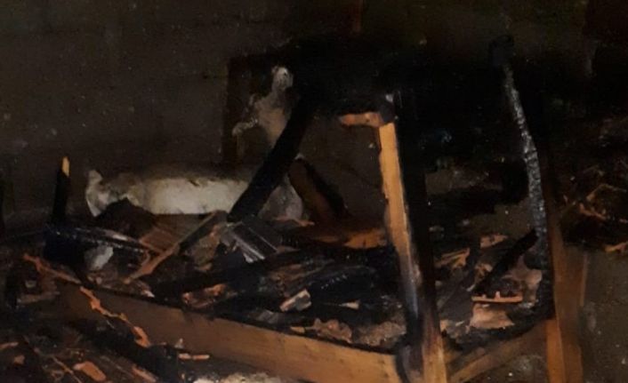 Erdek’te ağılda yangın: İki koyun telef oldu