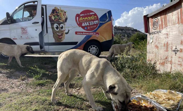 Eskişehirli firmadan sokak hayvanlarına özel gün yemeği