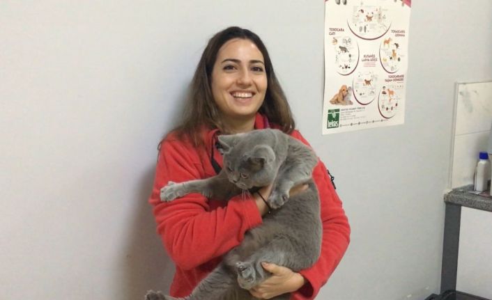 Evcil hayvanlara getirilen çip zorunluluğu uygulanmaya başlandı