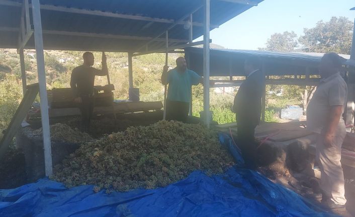 Hatay’da üzümler "çalpak pekmezi"ne dönüştürüldü