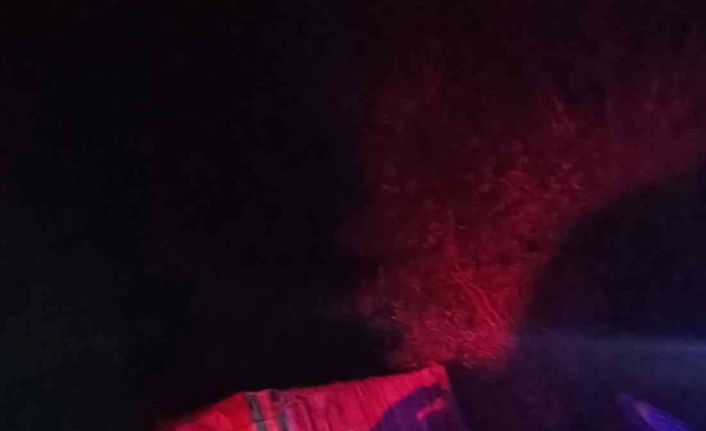 Hayvan yüklü kamyonet ile traktör çarpıştı: Sürücüler yara almadan kurtuldu