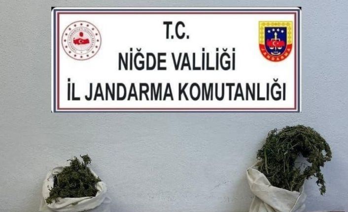 Jandarmadan uyuşturucu operasyonu