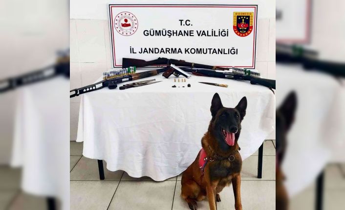 Kaçak silah imalathanesine yapılan baskında Roma dönemine ait sikkeler ele geçirildi